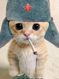 Даниил Даниил