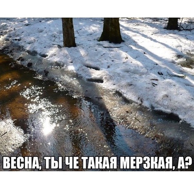 Березуцкая Ольга
