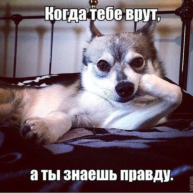 Березуцкая Ольга