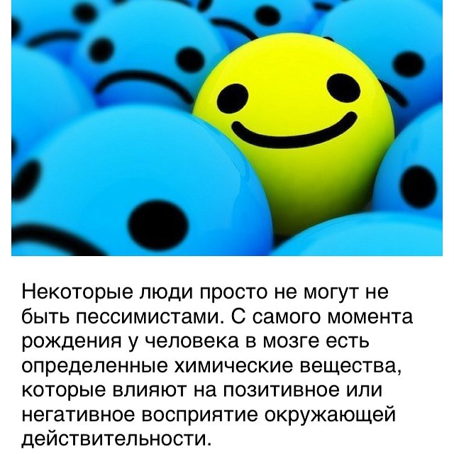 Березуцкая Ольга