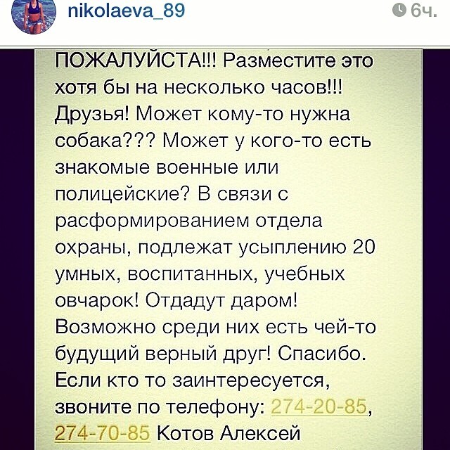 Мячев Дмитрий