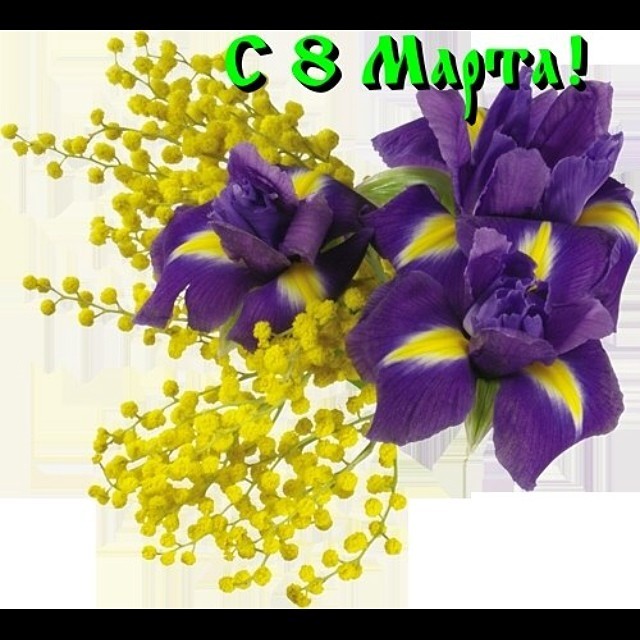 Фридзон Виталий