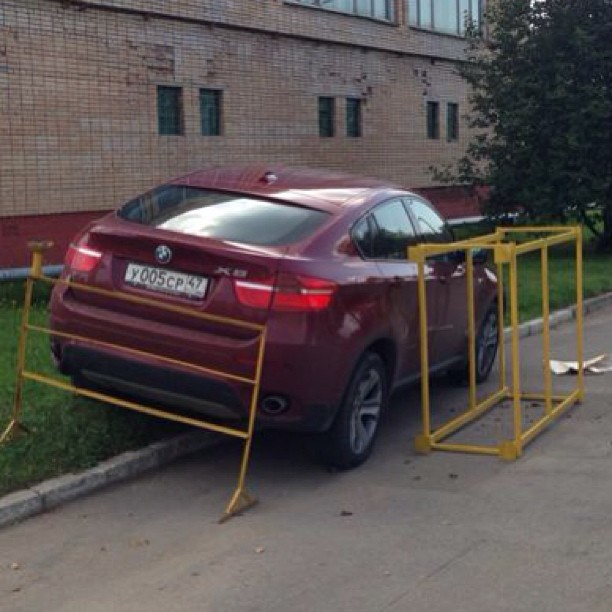 Цауня Александр