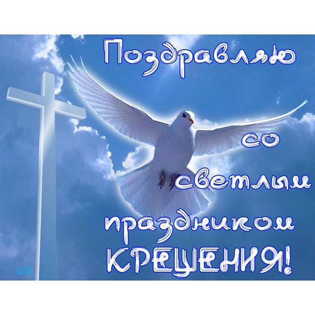 Сотникова Аделина