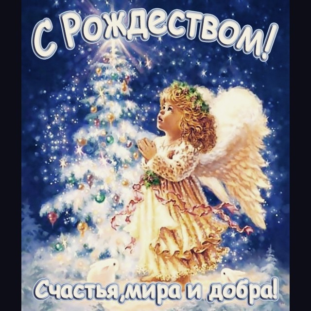 Сотникова Аделина
